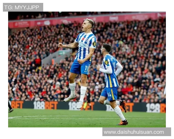 CIES列2021年来转会盈余榜:法鹰2.86亿欧居首,布莱顿第二 CIES列2021年来转会盈余榜:法鹰2.86亿欧居首,布莱顿第二